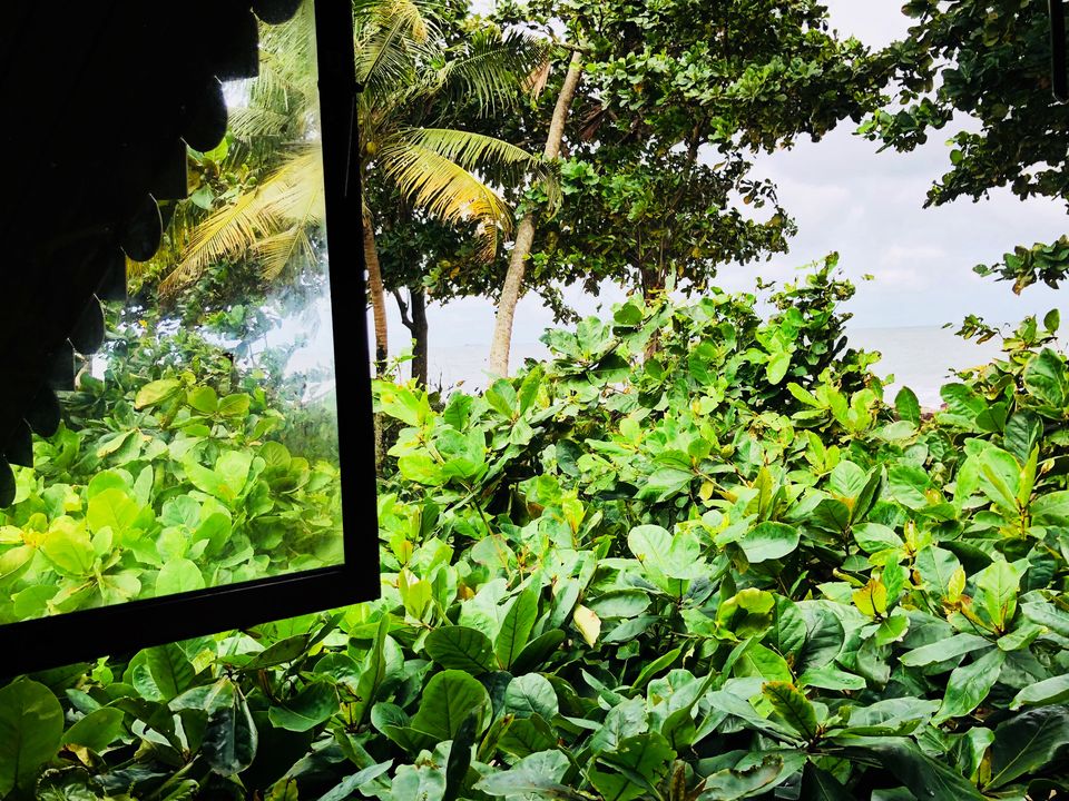 Photo of KERALA- a picturesque destination; Experience the heaven on Earth! #southindiaitinerary by Sree Madhavi