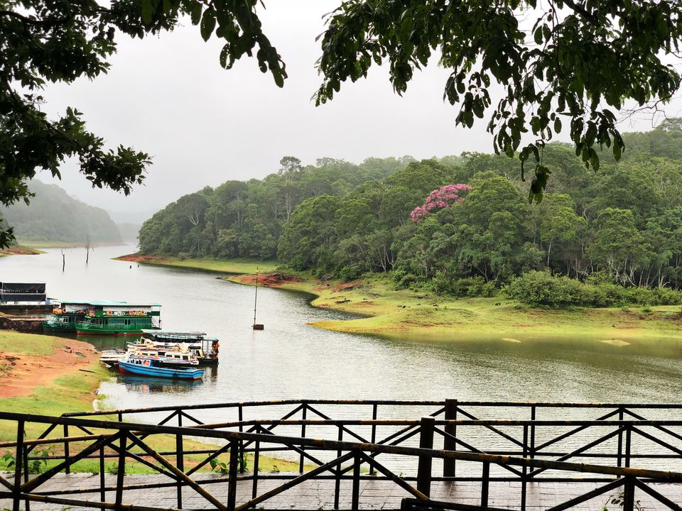 Photo of KERALA- a picturesque destination; Experience the heaven on Earth! #southindiaitinerary by Sree Madhavi