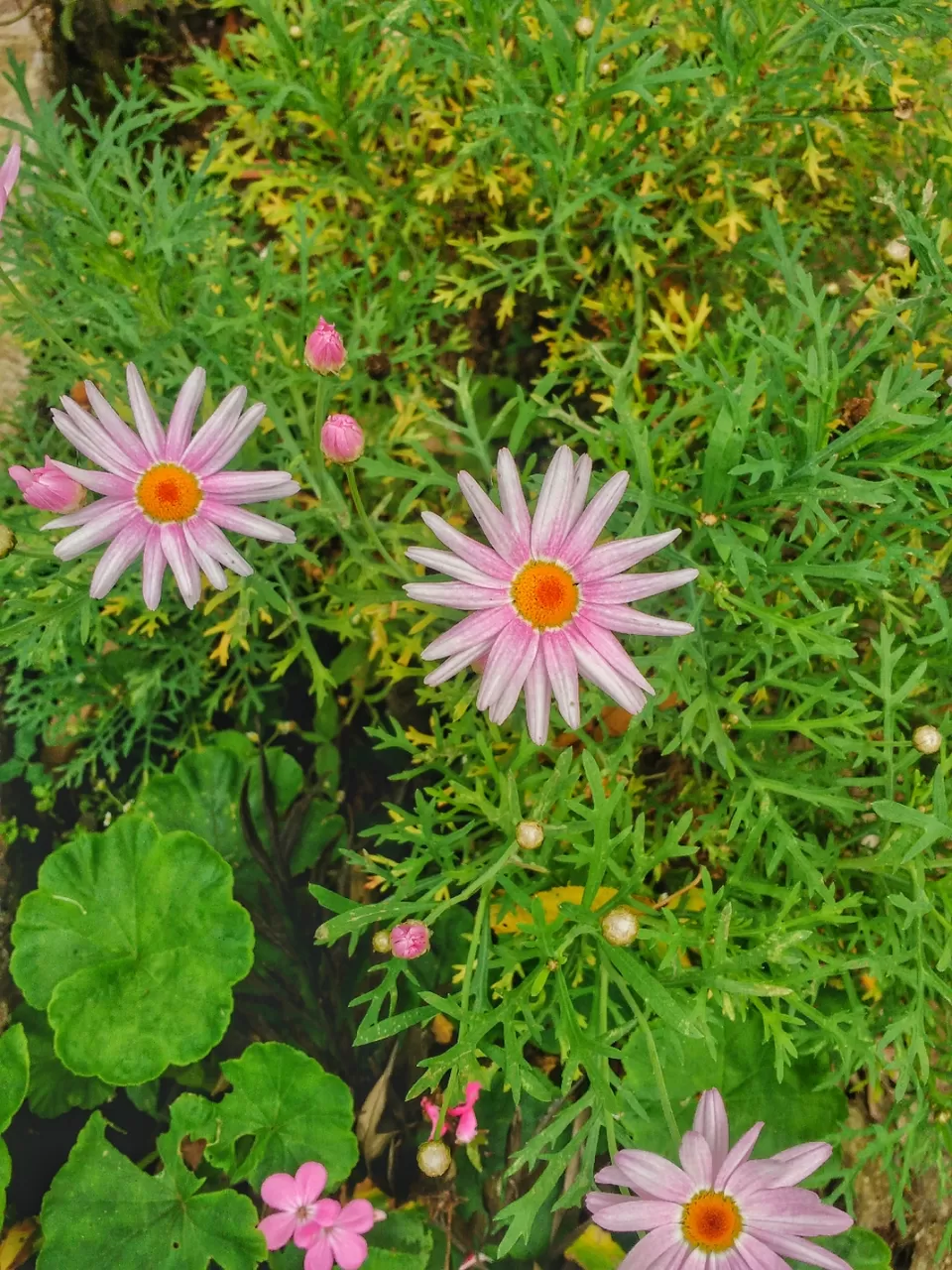 Photo of Kodaikanal, Tamil Nadu, India by Ganesh Mohan