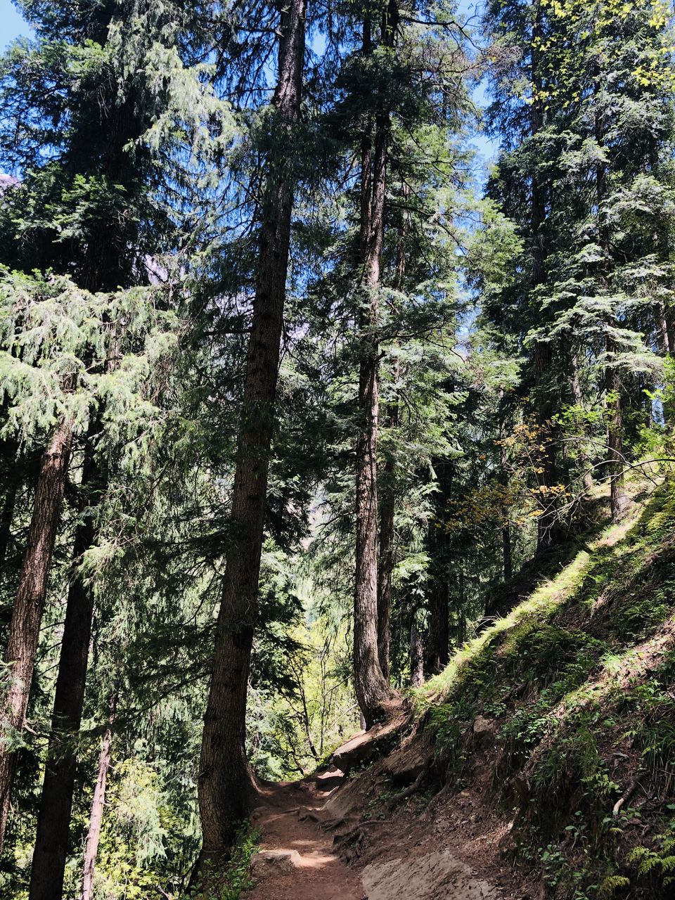 Photo of Kasol - Mini Israel of India.. by Sreelakshmi