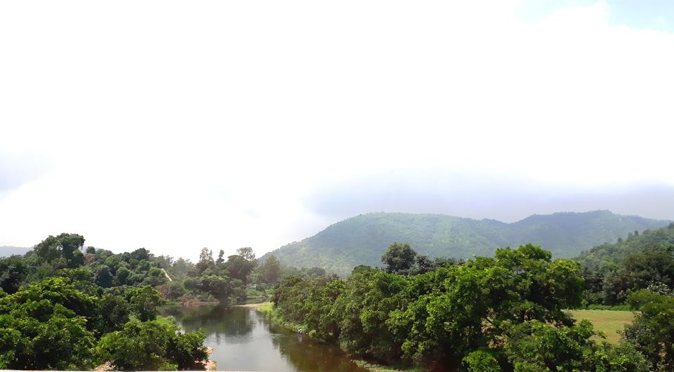 Photo of The Green Gateway of Gujarat by Maitri .