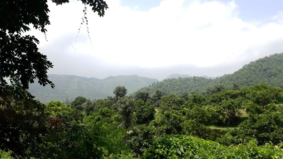 Photo of The Green Gateway of Gujarat by Maitri .