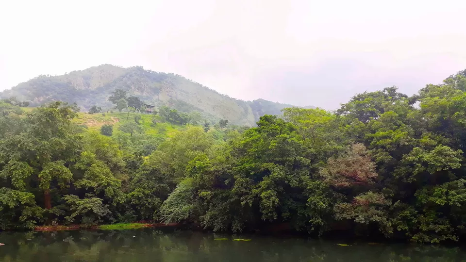 Photo of Polo Forest, Vijaynagar, Gujarat, India by Maitri .