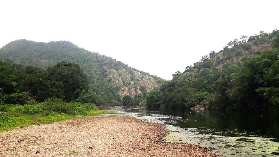 Photo of The Green Gateway of Gujarat by Maitri .