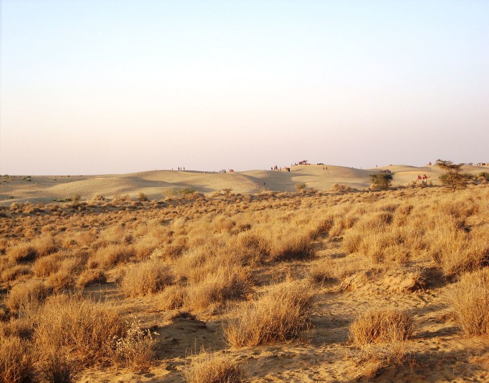 Photo of A Cold and Star studded night in the Great Indian Desert by Maitri .