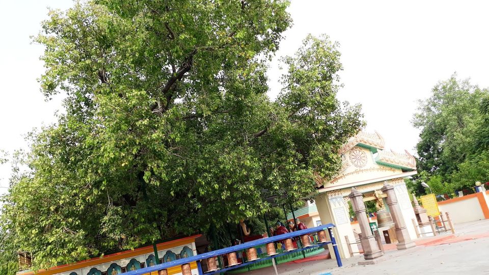 Photo of A day in the Buddhist circuit of Sarnath 6/7 by Maitri .