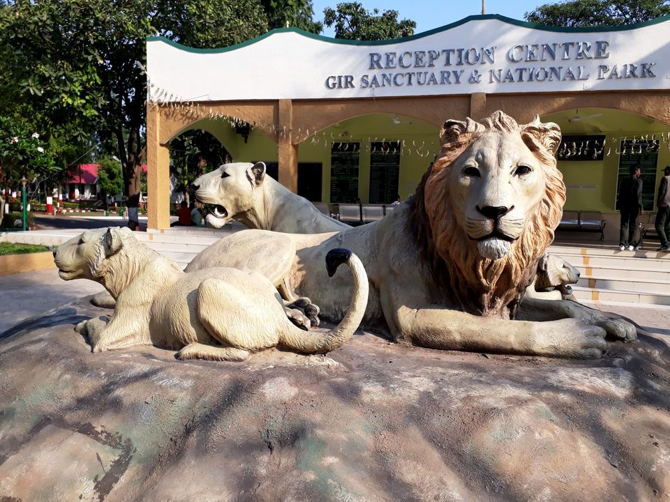 Photo of In search of Asiatic Lion: Gir Jungle Trails 3/29 by Maitri .