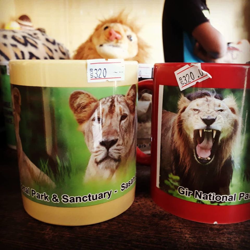 Photo of In search of Asiatic Lion: Gir Jungle Trails 15/29 by Maitri .