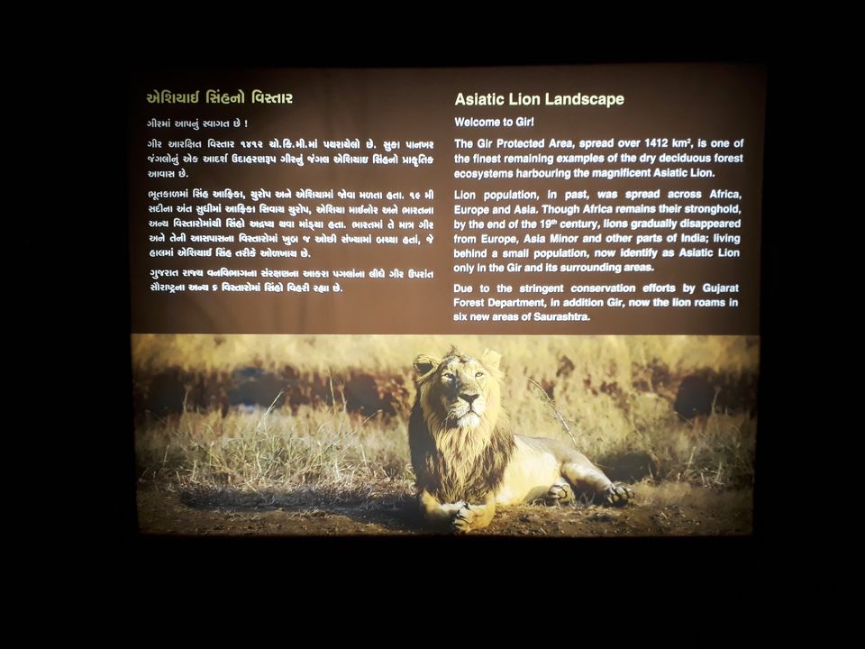 Photo of In search of Asiatic Lion: Gir Jungle Trails 25/29 by Maitri .