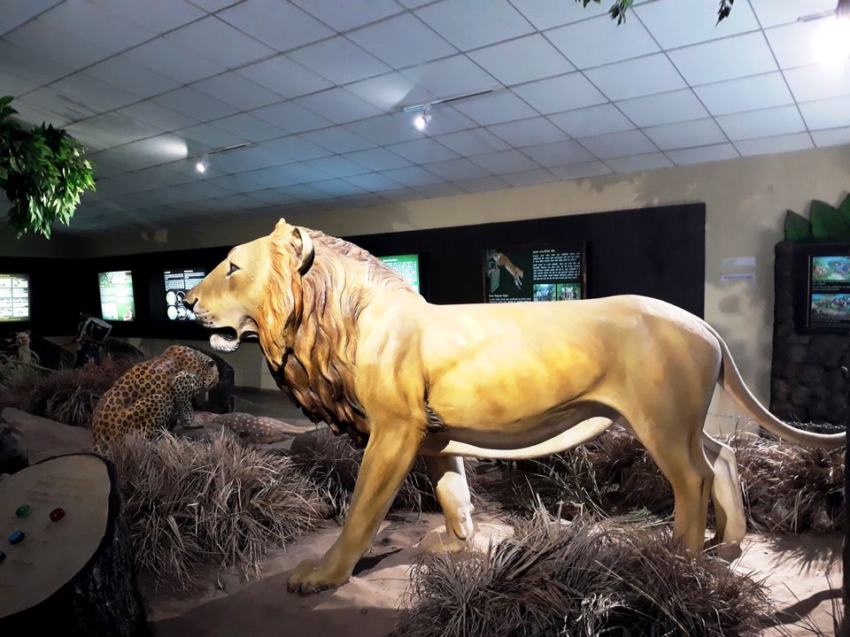 Photo of In search of Asiatic Lion: Gir Jungle Trails 23/29 by Maitri .