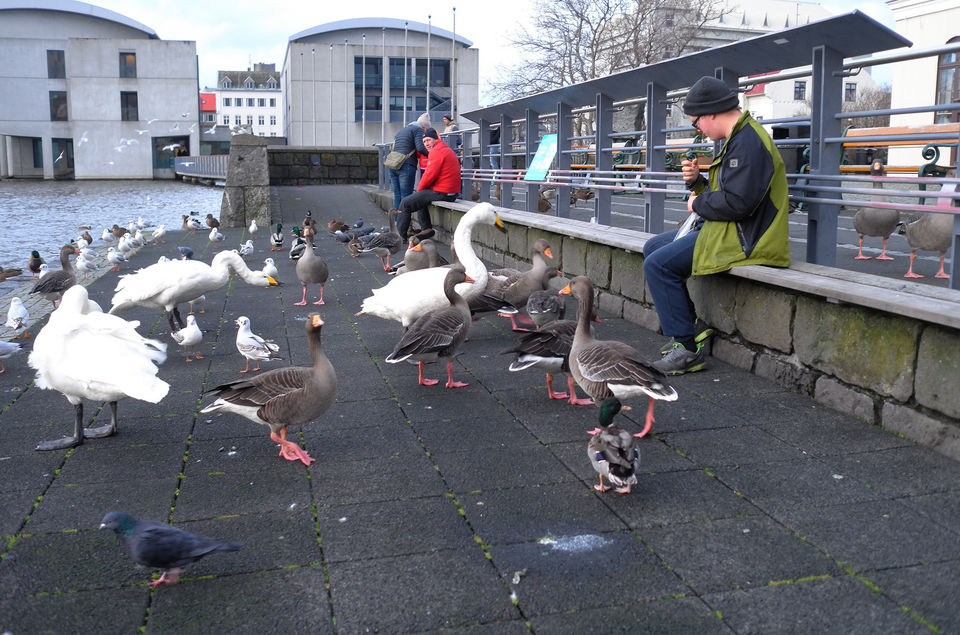 Photo of A Perfect Day At Reykjavik 10/20 by sourabh jadhav