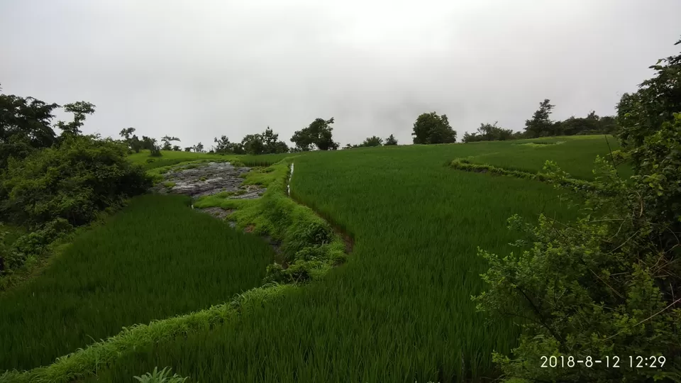 Photo of Kothaligad By Suraj Khutarkar