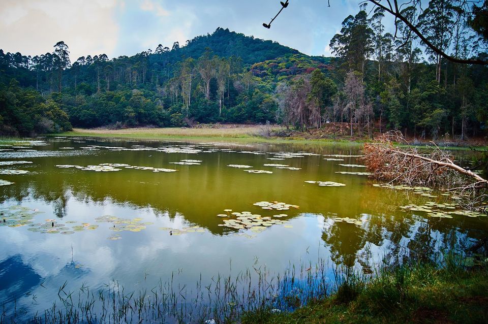Photo of The Most Enchanting Hill Station In South India 9/22 by Solo Traveler Nafeesa