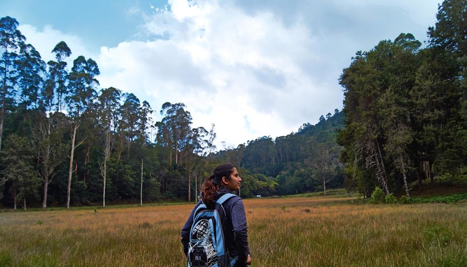 Photo of The Most Enchanting Hill Station In South India 14/22 by Solo Traveler Nafeesa