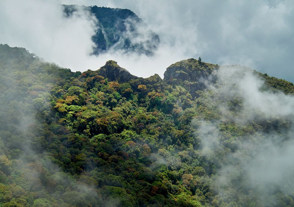 Photo of The Most Enchanting Hill Station In South India 13/22 by Solo Traveler Nafeesa