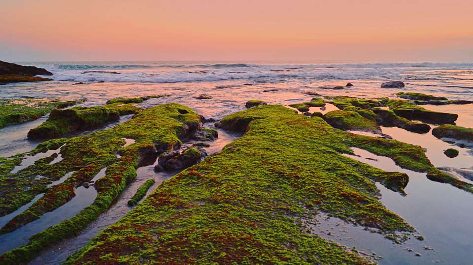 Photo of 10 days travel guide to Bali 4/28 by Solo Traveler Nafeesa