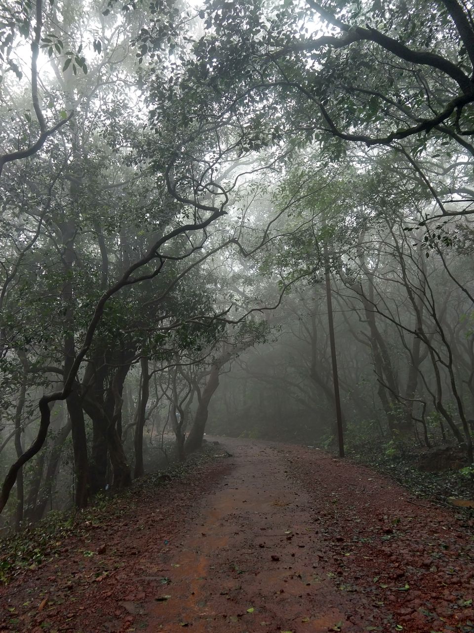 Photo of Matheran, Maharashtra, India by Nirav Mevcha