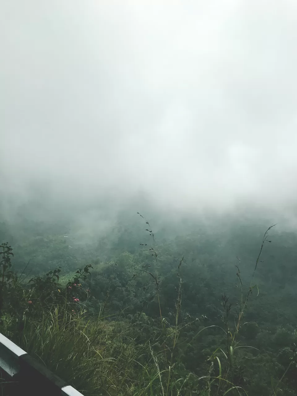 Photo of Palani, Tamil Nadu, India by Ayush Chandra