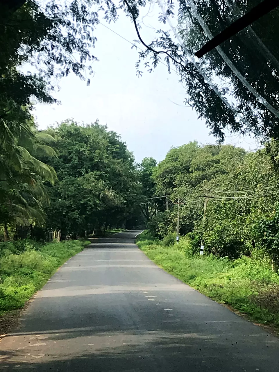 Photo of Palani, Tamil Nadu, India by Ayush Chandra