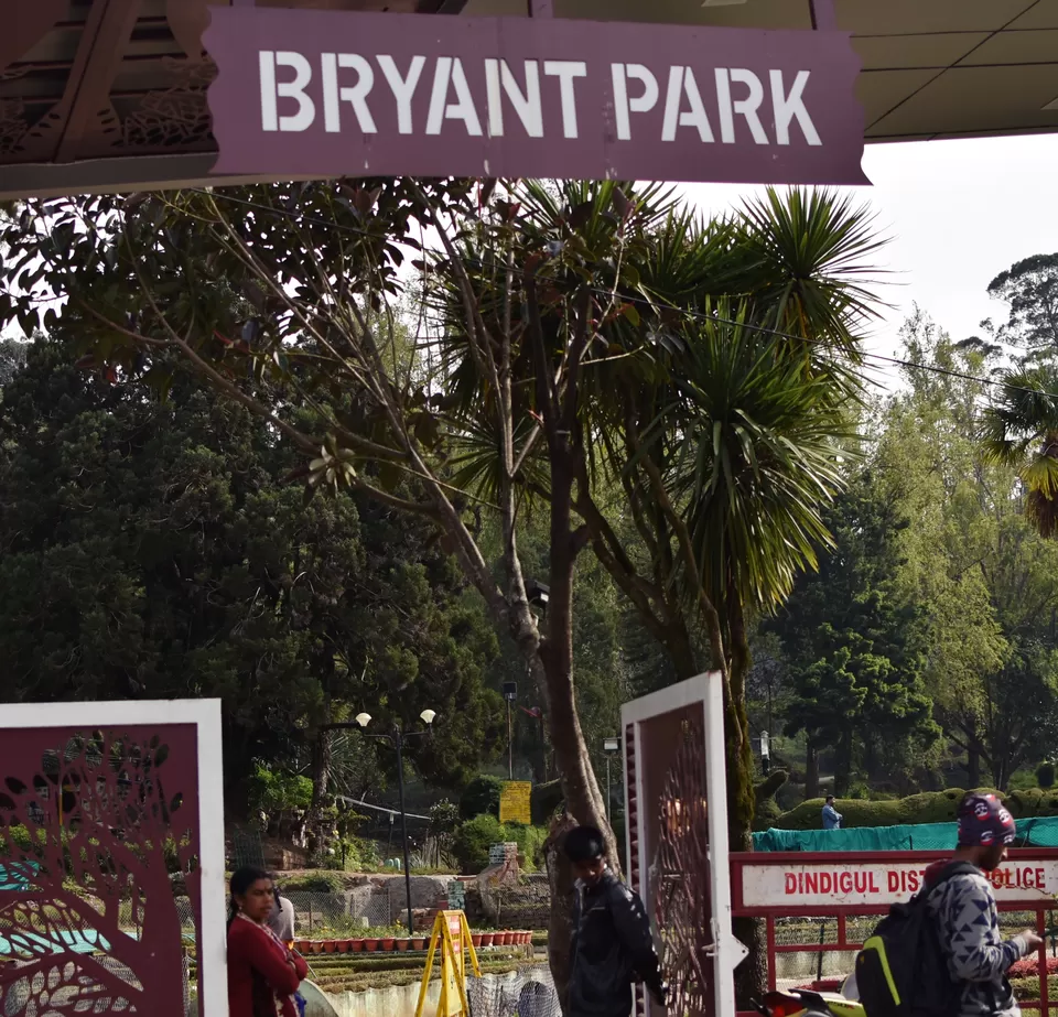 Photo of Bryant Park, Lower Shola Road, Kodaikanal, Tamil Nadu, India by Ayush Chandra