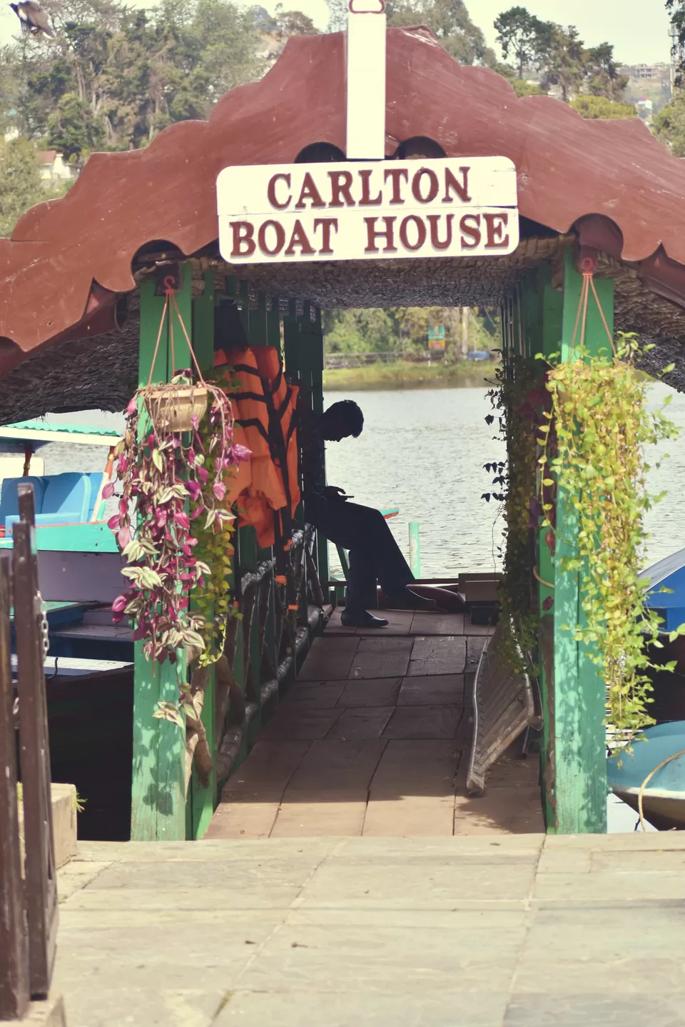 Photo of Bryant Park, Lower Shola Road, Kodaikanal, Tamil Nadu, India by Ayush Chandra