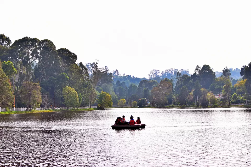 Photo of Bryant Park, Lower Shola Road, Kodaikanal, Tamil Nadu, India by Ayush Chandra