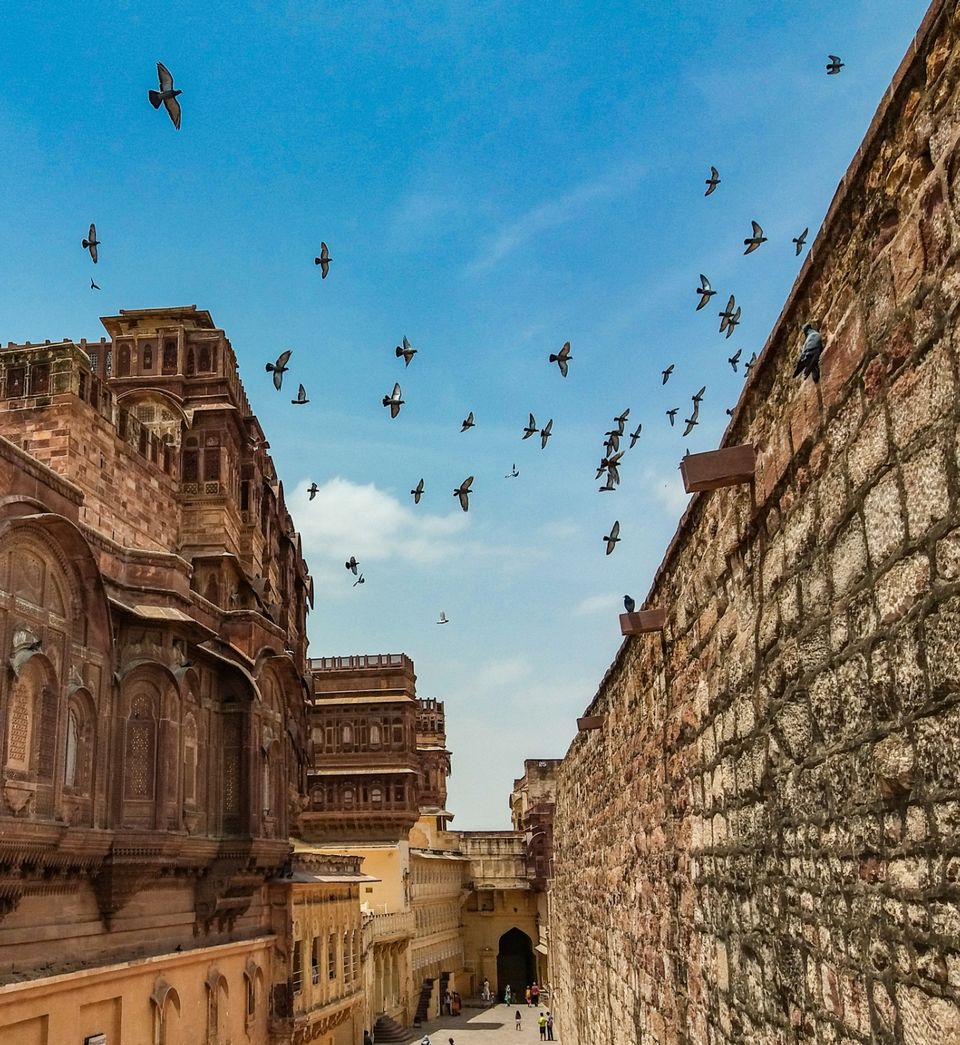 Photo of JODHPUR Blues in Two days by Rohit