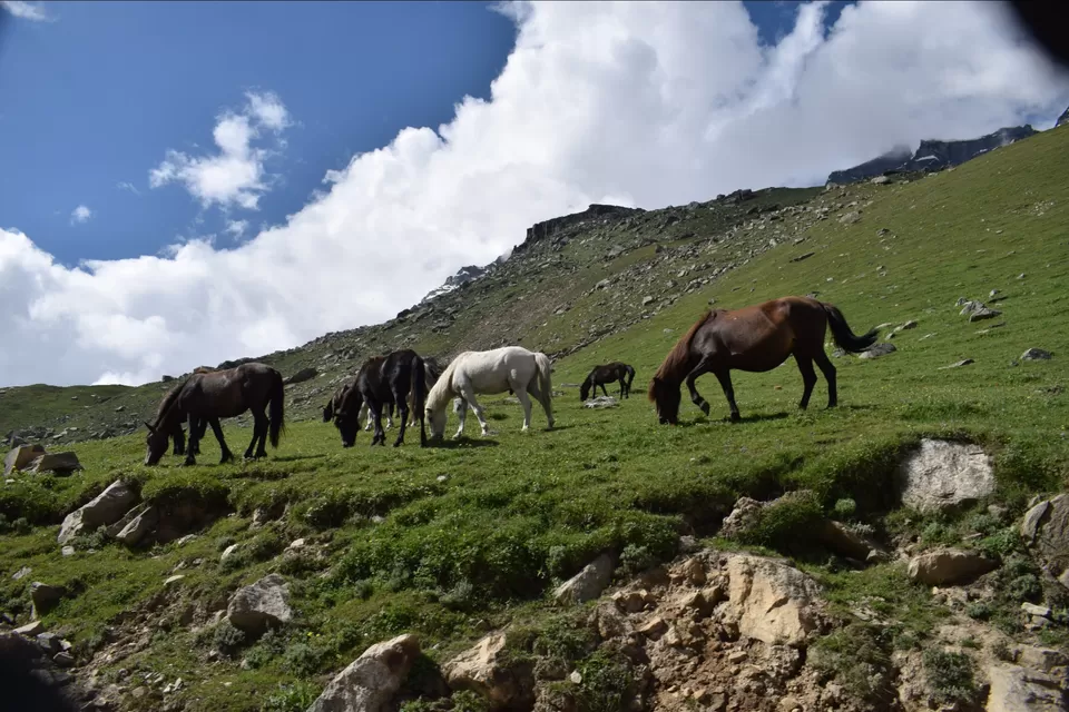 Photo of Kaza, Himachal Pradesh, India by Abhijeet Saini