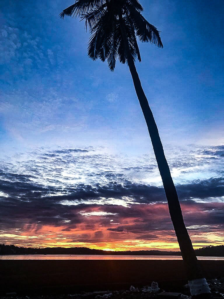 Photo of Ross Island, Andaman, Ross Island Road, India by Sakshi Chaudhary