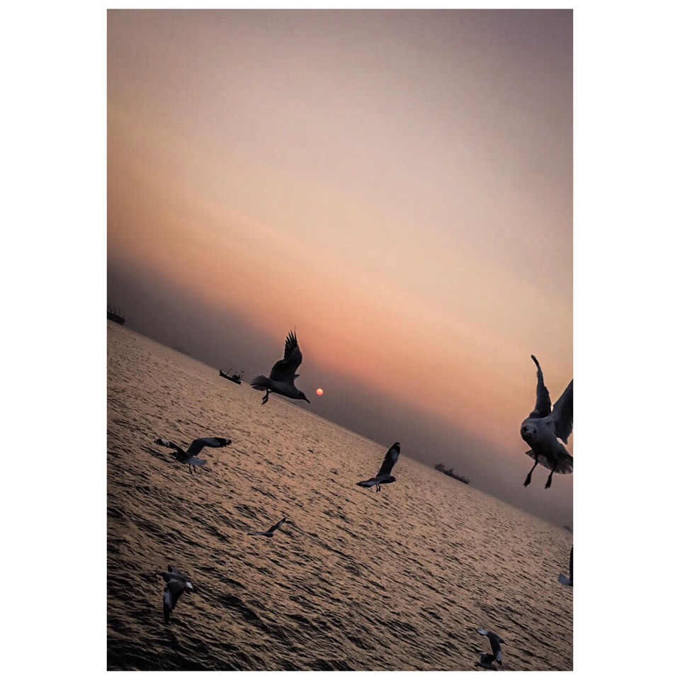 Photo of Gateway of India, Apollo Bandar, Colaba, Mumbai, Maharashtra, India by Sakshi Chaudhary