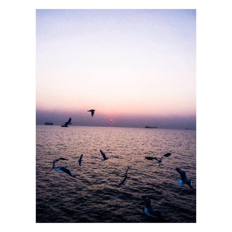 Photo of Gateway of India, Apollo Bandar, Colaba, Mumbai, Maharashtra, India by Sakshi Chaudhary