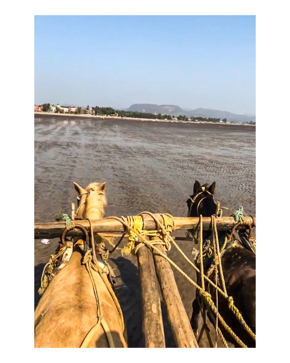 Photo of Alibag Beach by Sakshi Chaudhary