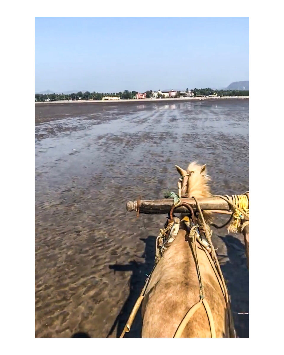 Photo of Alibag Beach by Sakshi Chaudhary