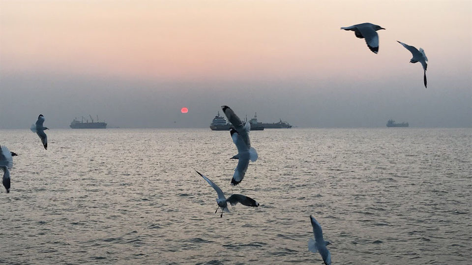 Photo of Gateway of India, Apollo Bandar, Colaba, Mumbai, Maharashtra, India by Sakshi Chaudhary