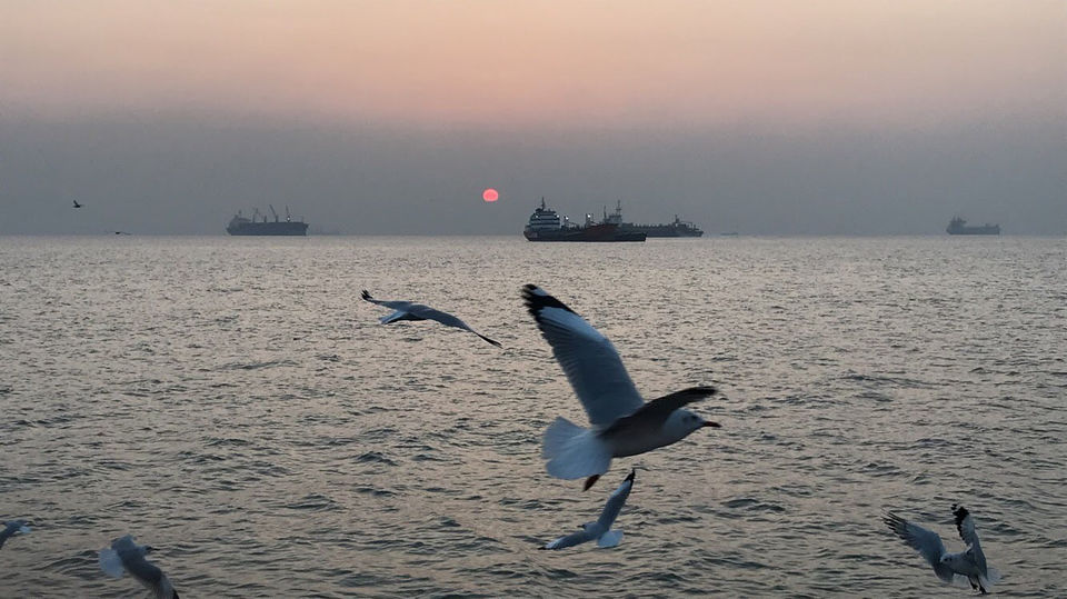 Photo of Gateway of India, Apollo Bandar, Colaba, Mumbai, Maharashtra, India by Sakshi Chaudhary