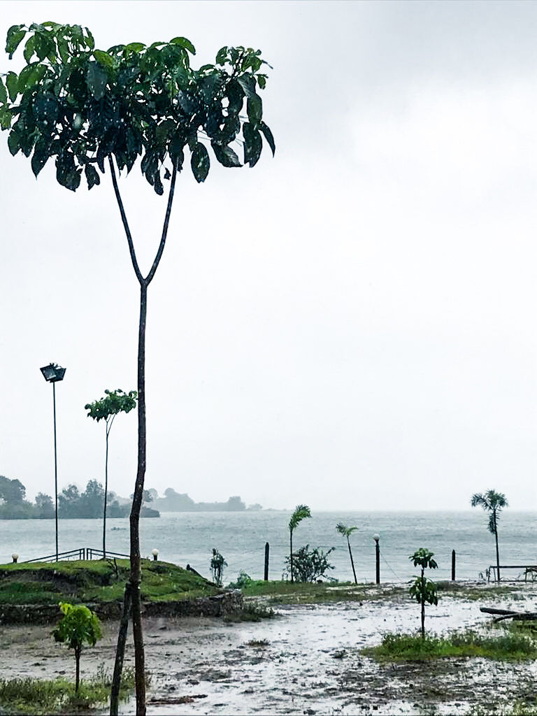 Photo of Mumbai, Maharashtra, India by Sakshi Chaudhary