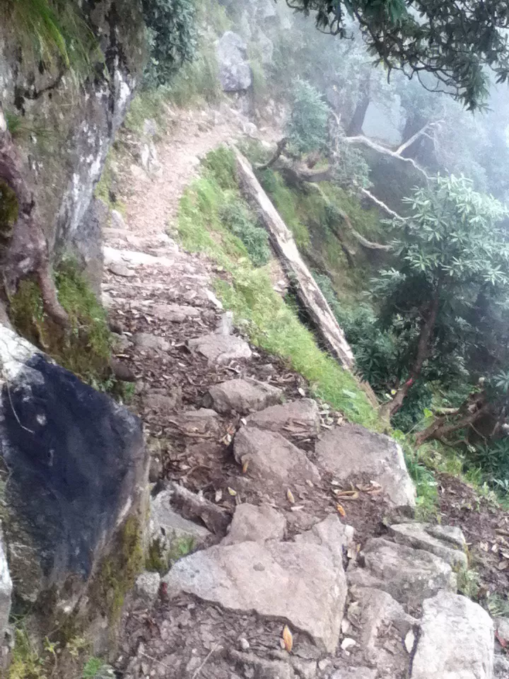 Photo of Triund Trek, Trail to Triund Hill, Dharamshala, Himachal Pradesh, India by Sakshi Chaudhary