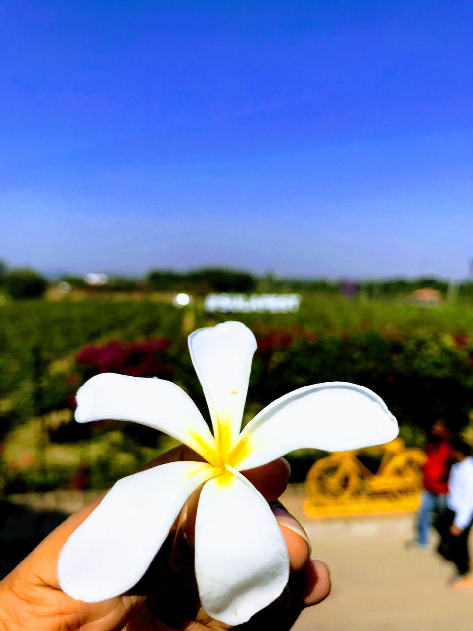 Photo of Nashik, Maharashtra, India by Sakshi Chaudhary