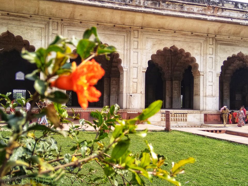 Photo of How many of you knew Red Fort has a name? Here's a guide for the skeptical and the misinformed- by Christy Mariam Thomas