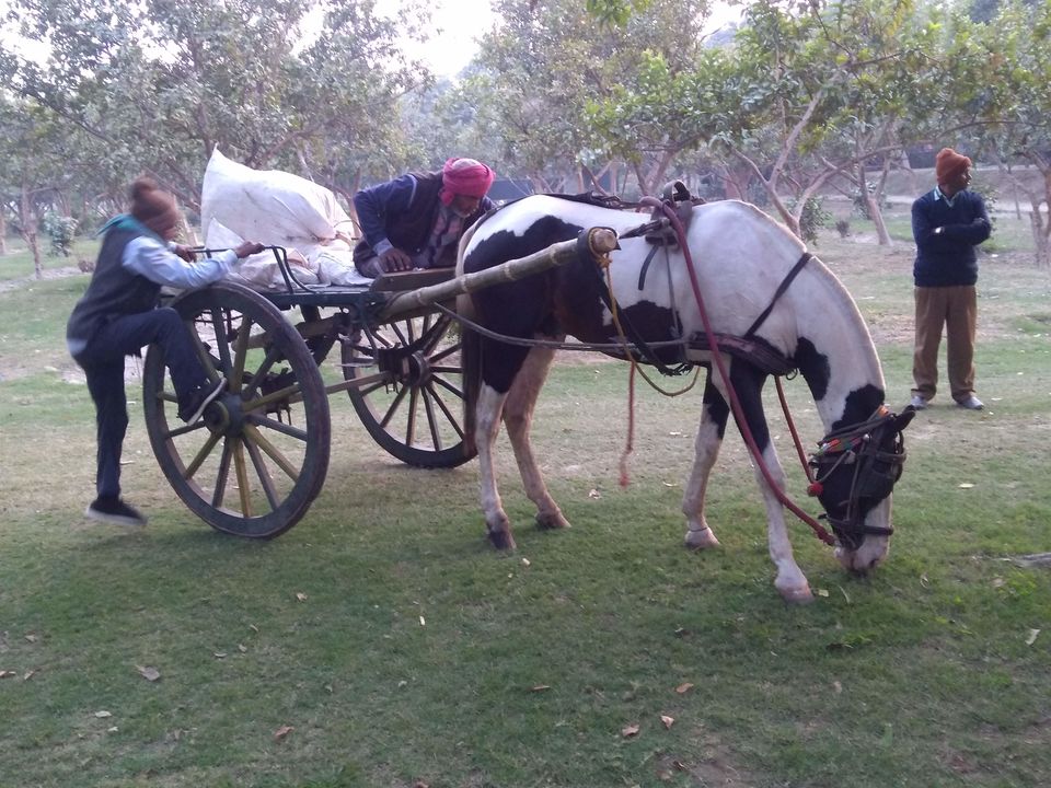 Photo of A Glimpse Of Agra Within 36 Hours by Sudarshan Gupta