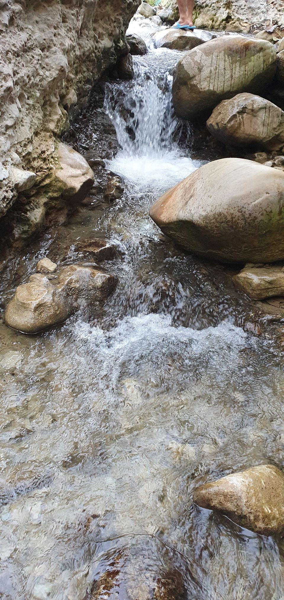 Photo of Dehradun - A Misjudged Destination by Sudarshan Gupta