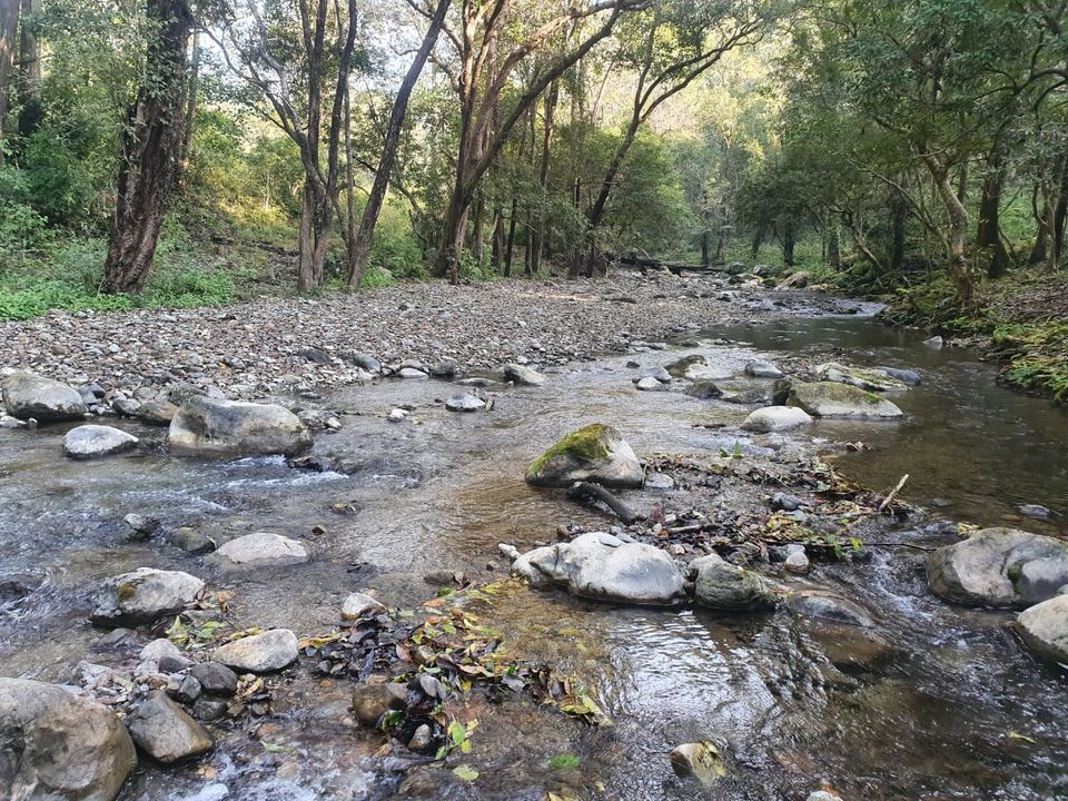 Photo of Lansdowne, Uttarakhand, India by Sudarshan Gupta