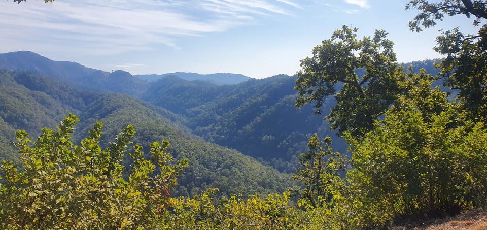 Photo of Lansdowne With Kalagarh Tiger Reserve: The Destination I Admire - Part II by Sudarshan Gupta