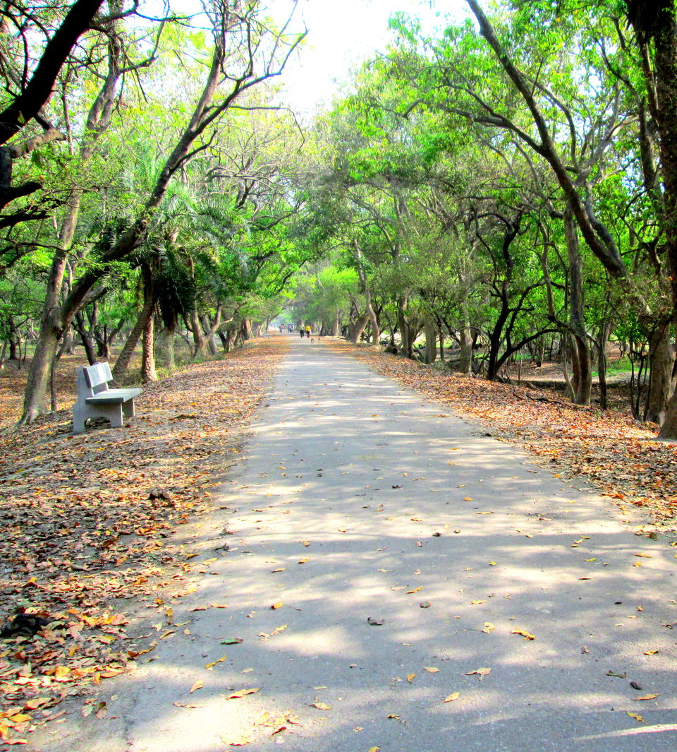 Photo of Keoladeo National Park, Bharatpur, Rajasthan, India by Rediscover Your Dreams -- By Kaushal Mathpal