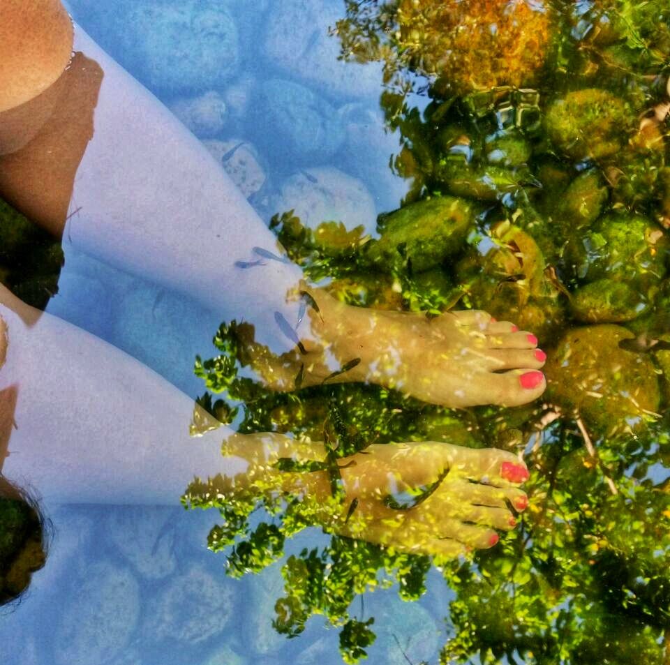 Photo of Fish SPA in fish pool for FREE!! A Luxurious Day in Discovery Village Bangalore, #luxurygetaway 6/6 by Runa Nath