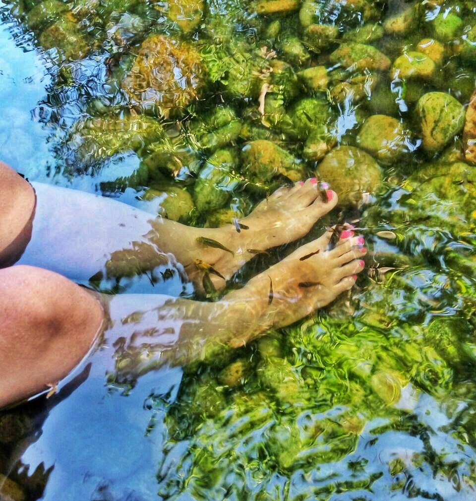 Photo of Fish SPA in fish pool for FREE!! A Luxurious Day in Discovery Village Bangalore, #luxurygetaway 5/6 by Runa Nath