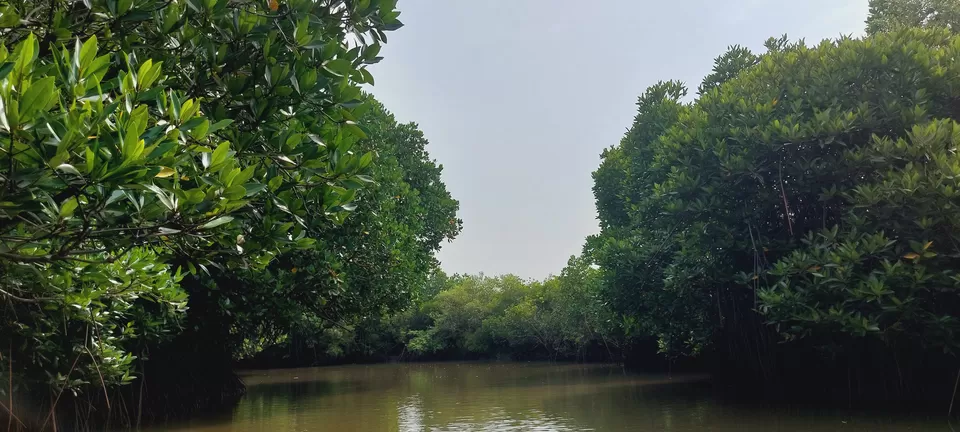 Photo of Journey to second largest mangrove forest and Chidambaram from #Pondicherry #summertrips #2022 by Apeksha Mahto
