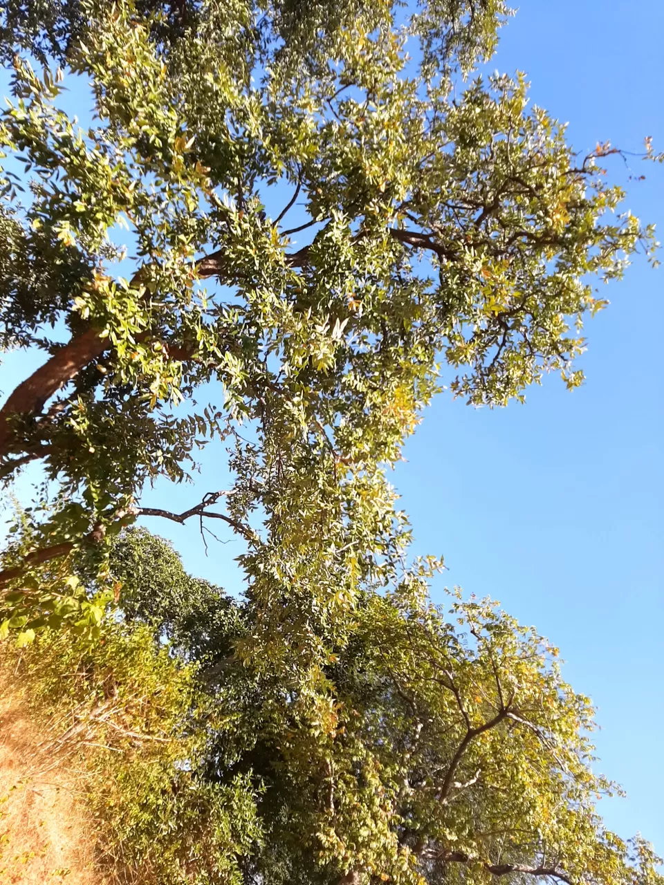 Photo of Sapna Dam, Ankawadi, Madhya Pradesh, India by Apeksha Mahto
