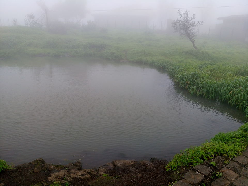 Photo of Trek to Singhad Fort 2/3 by Apeksha Mahto