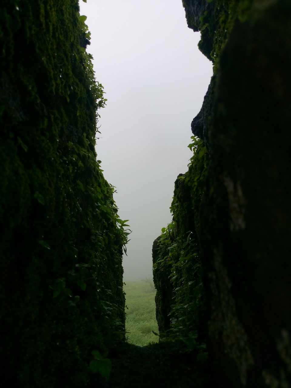 Photo of Trek to Singhad Fort 3/3 by Apeksha Mahto